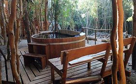 Cabanas Ensenada Bosque Nativo