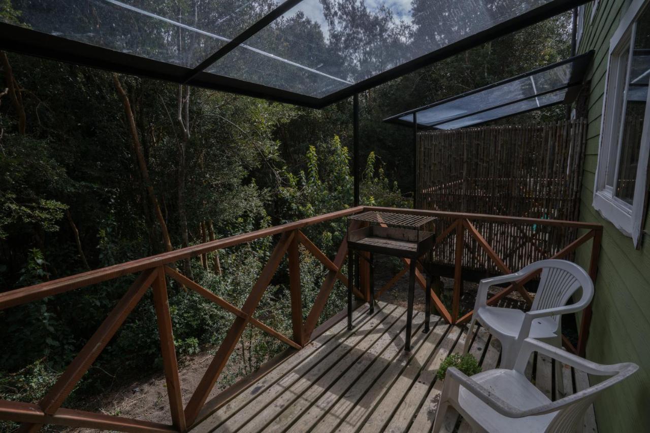 Cabanas Ensenada Bosque Nativo Exterior foto