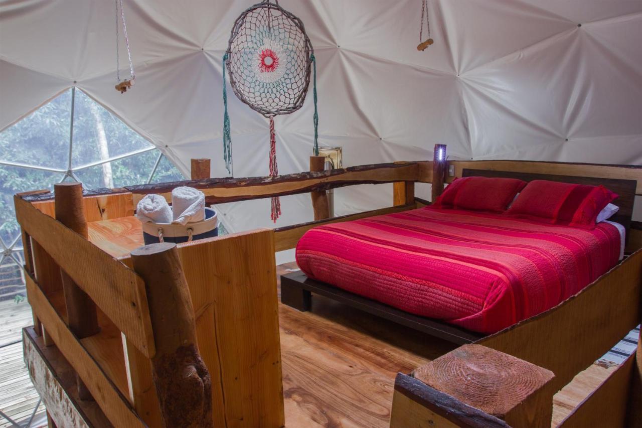 Cabanas Ensenada Bosque Nativo Exterior foto